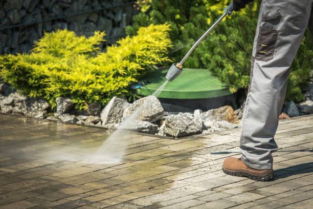 Best Fence Cleaning  in Lumberton, TX